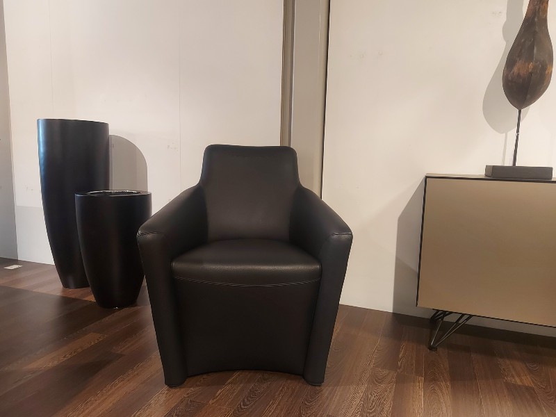 Fauteuil Leolux